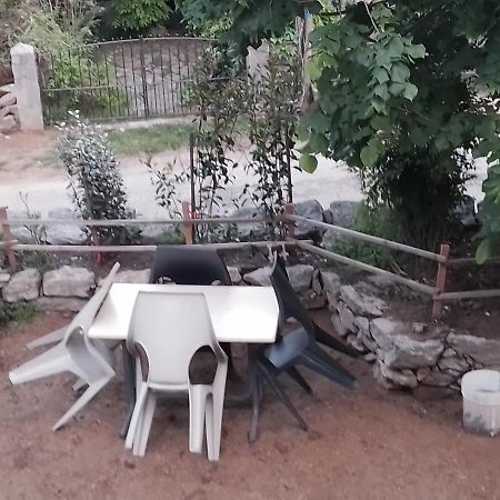 Maison De Caractere Au Coeur De La Corse Rurale Calacuccia Bagian luar foto