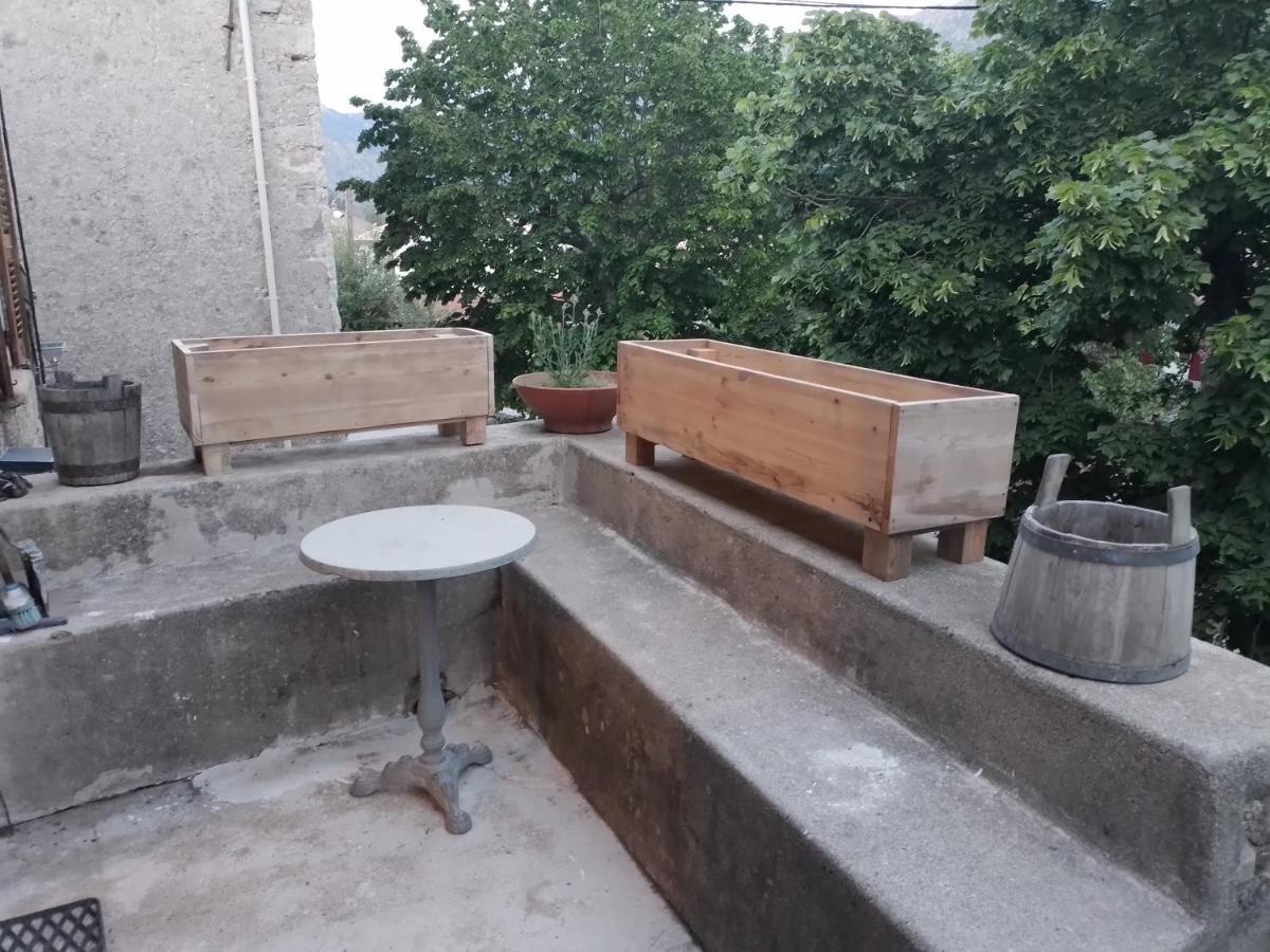Maison De Caractere Au Coeur De La Corse Rurale Calacuccia Bagian luar foto